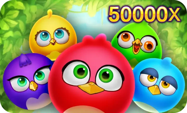 bird party img