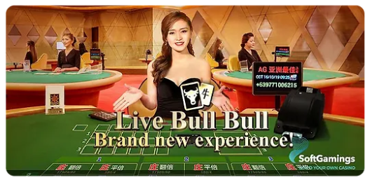 Live Bull Bull game img