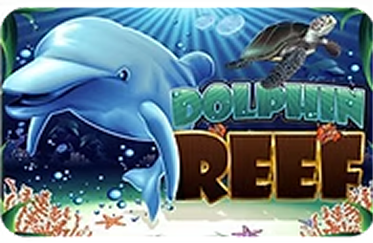dolphin reef game img